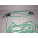 Baumniederholer Strecker Spanner Schwertfall VA Niro...